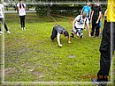 DSCN8462.JPG