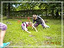 DSCN8480.JPG