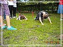 DSCN8482.JPG