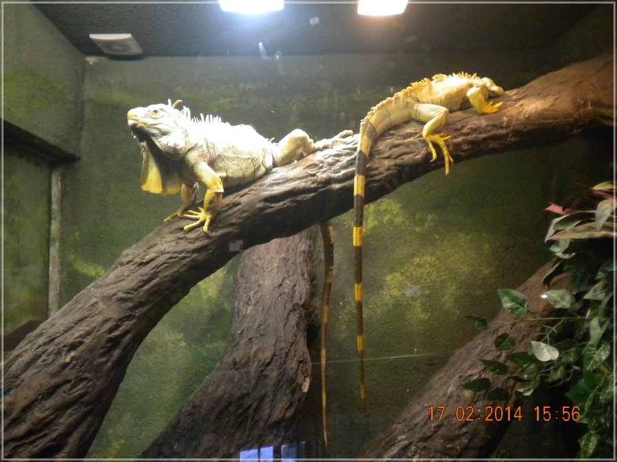 DSCN9843.JPG