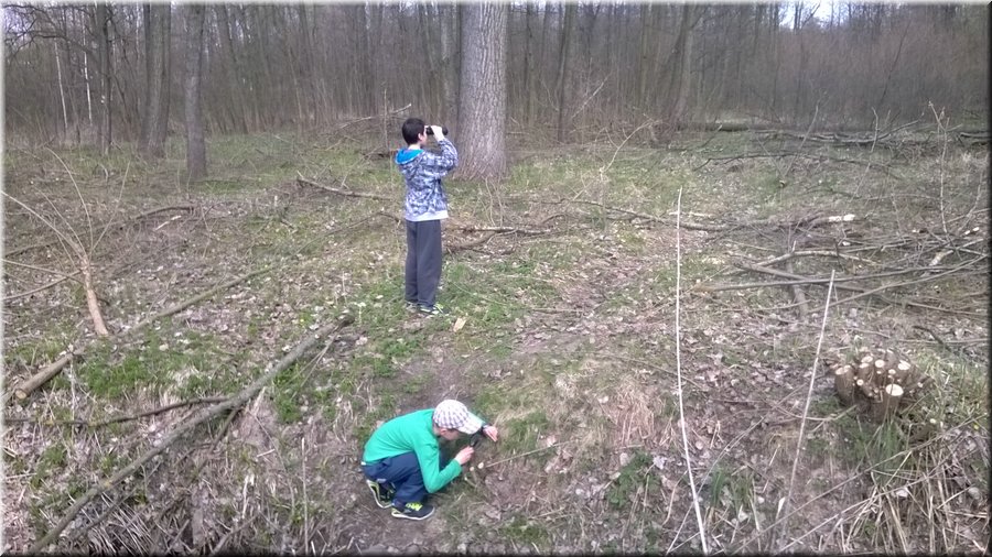 WP_20140408_009.jpg