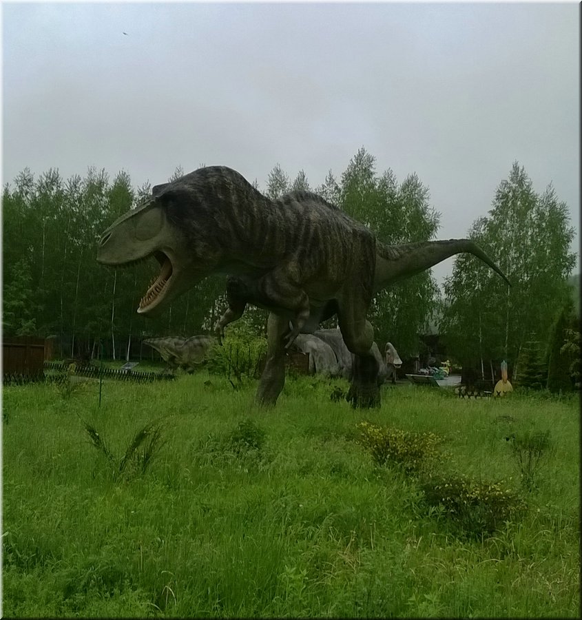 WP_20140516_083.jpg