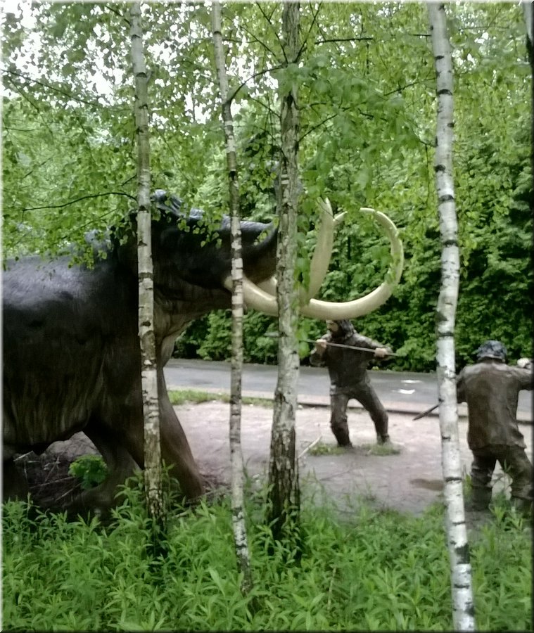 WP_20140516_114.jpg