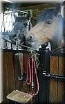 WP_20140516_147.jpg