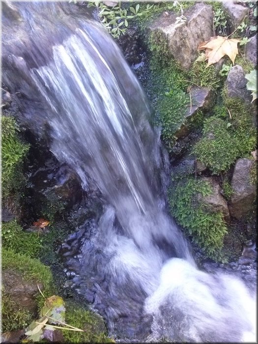 CAM00304.jpg