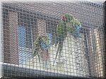 IMG_1444.JPG