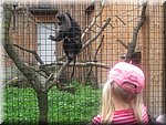 IMG_1445.JPG