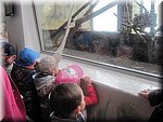 IMG_1447.JPG
