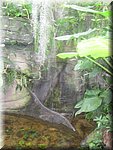 IMG_1451.JPG