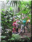 IMG_1452.JPG