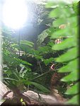 IMG_1453.JPG