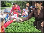 IMG_1459.JPG