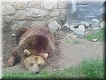 IMG_1460.JPG