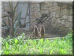 IMG_1465.JPG