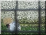 IMG_1469.JPG