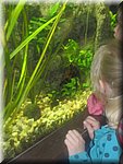 IMG_1472.JPG