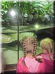 IMG_1474.JPG