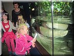 IMG_1475.JPG