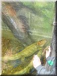 IMG_1478.JPG