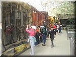 IMG_1479.JPG