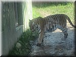 IMG_1480.JPG