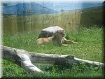 IMG_1481.JPG
