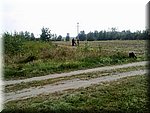 zdjecia izy 57419.jpg