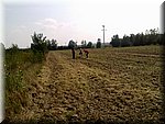 zdjecia izy 57420.jpg