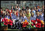 Image000359.JPG