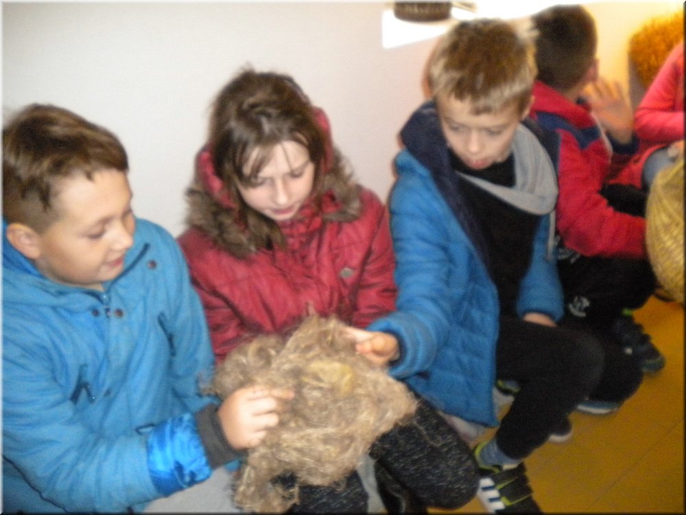 DSCN4575.JPG