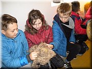 DSCN4575.JPG