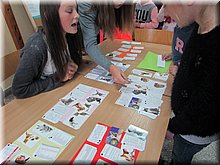 IMG_1996.JPG