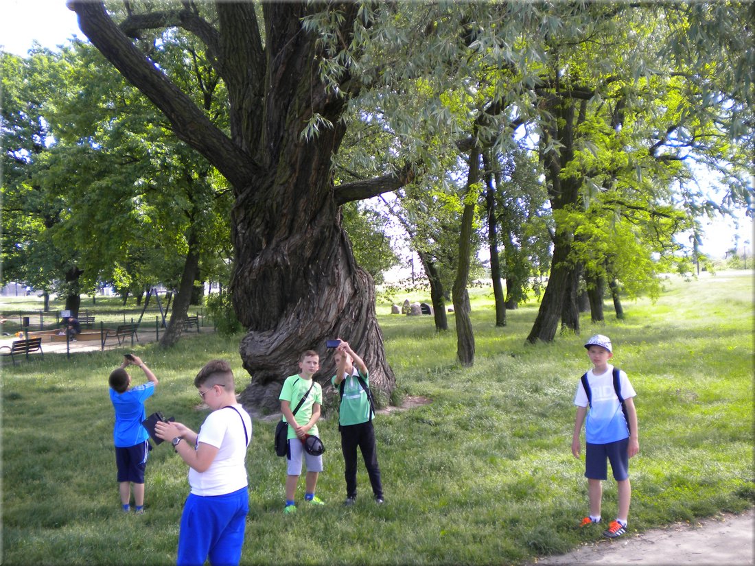 DSCN4775.JPG