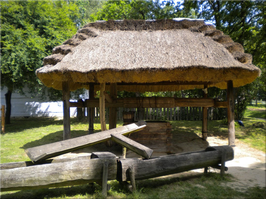 DSCN4789.JPG