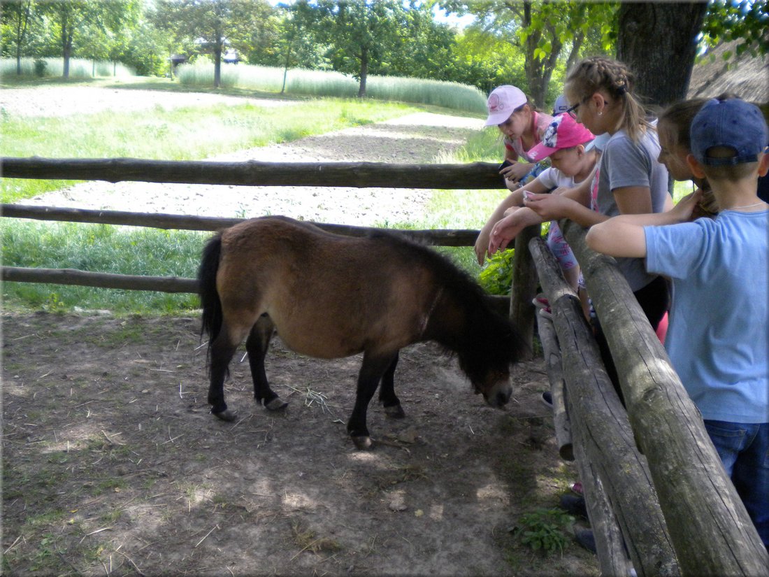 DSCN4793.JPG