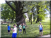 DSCN4775.JPG