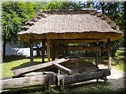 DSCN4789.JPG