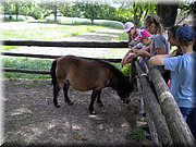 DSCN4793.JPG