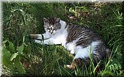 20170605_170740.jpg