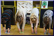 DSC02959.JPG
