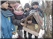 IMG_2492.JPG