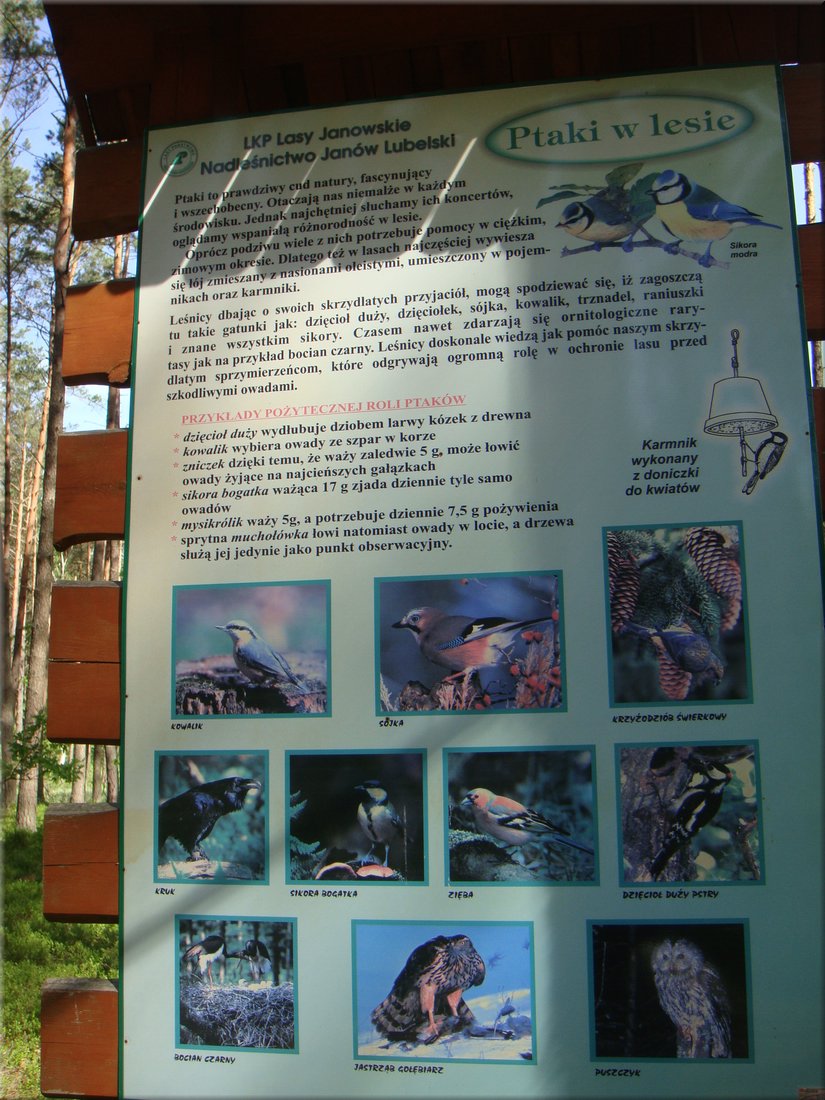 DSC03066.JPG