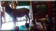 20170602_085919.jpg