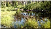 20170602_094541.jpg