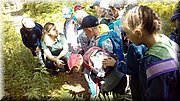 20170602_100222.jpg