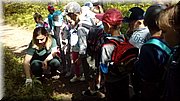 20170602_100231.jpg