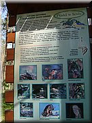 DSC03066.JPG