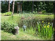 DSC03076.JPG