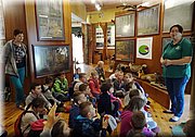 IMG_20170602_093152.jpg