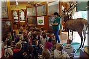 IMG_20170602_093206.jpg